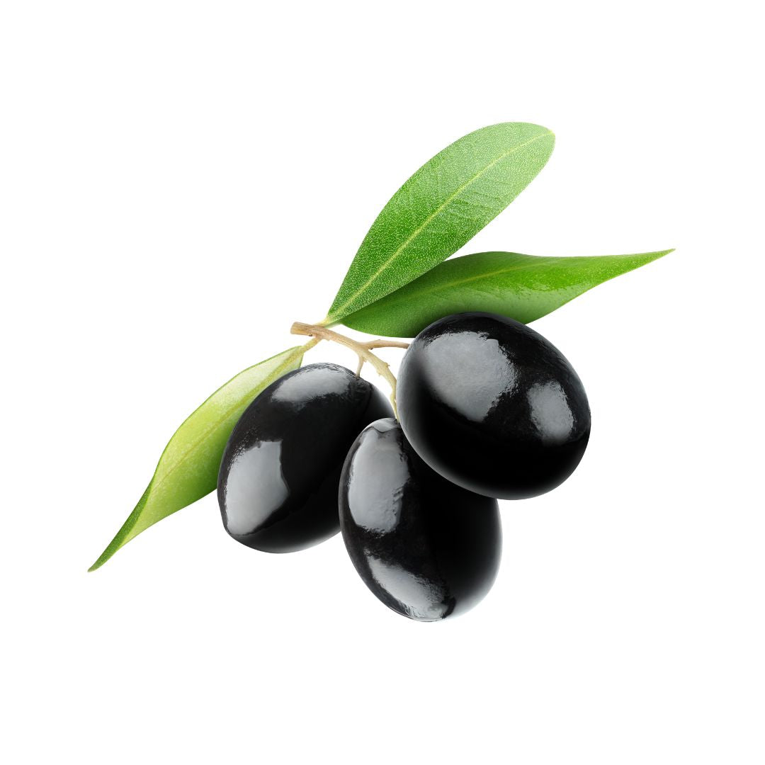 Aceitunas Azapa Negra Extra (500 grs)