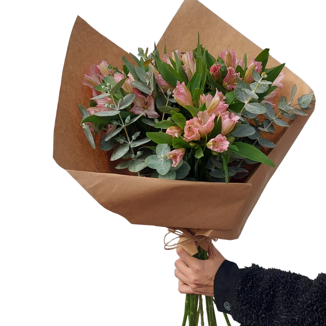 Ramo Alstroemeria (10 varas)