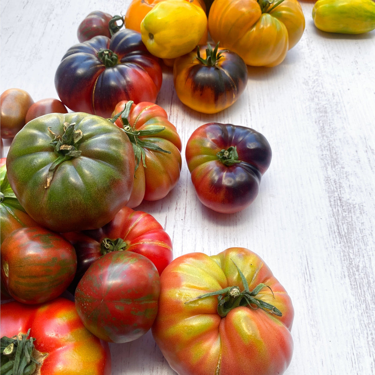 tomate verdura fresca con despacho a domicilio en Santiago - Juan Esparraguito