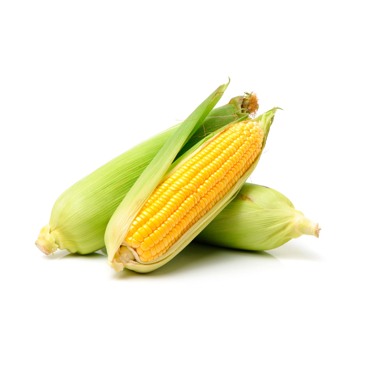 Choclo Pastelero (un)