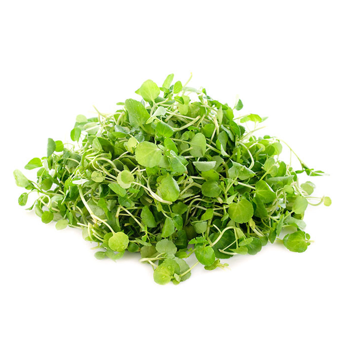 Berros Hidropónicos (200 grs)