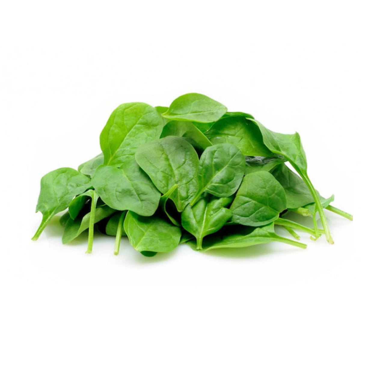 Espinaca Baby Sanitizada (200 grs)