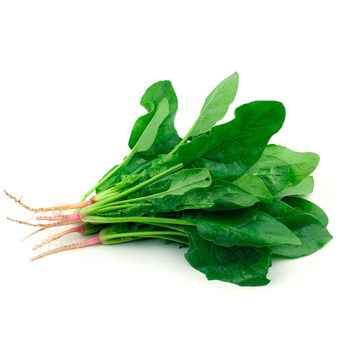 Espinaca Sanitizada (500 grs)