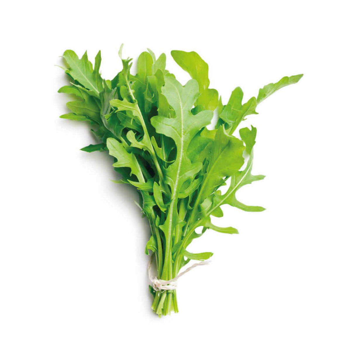 Rúcula Sanitizada (200 grs)