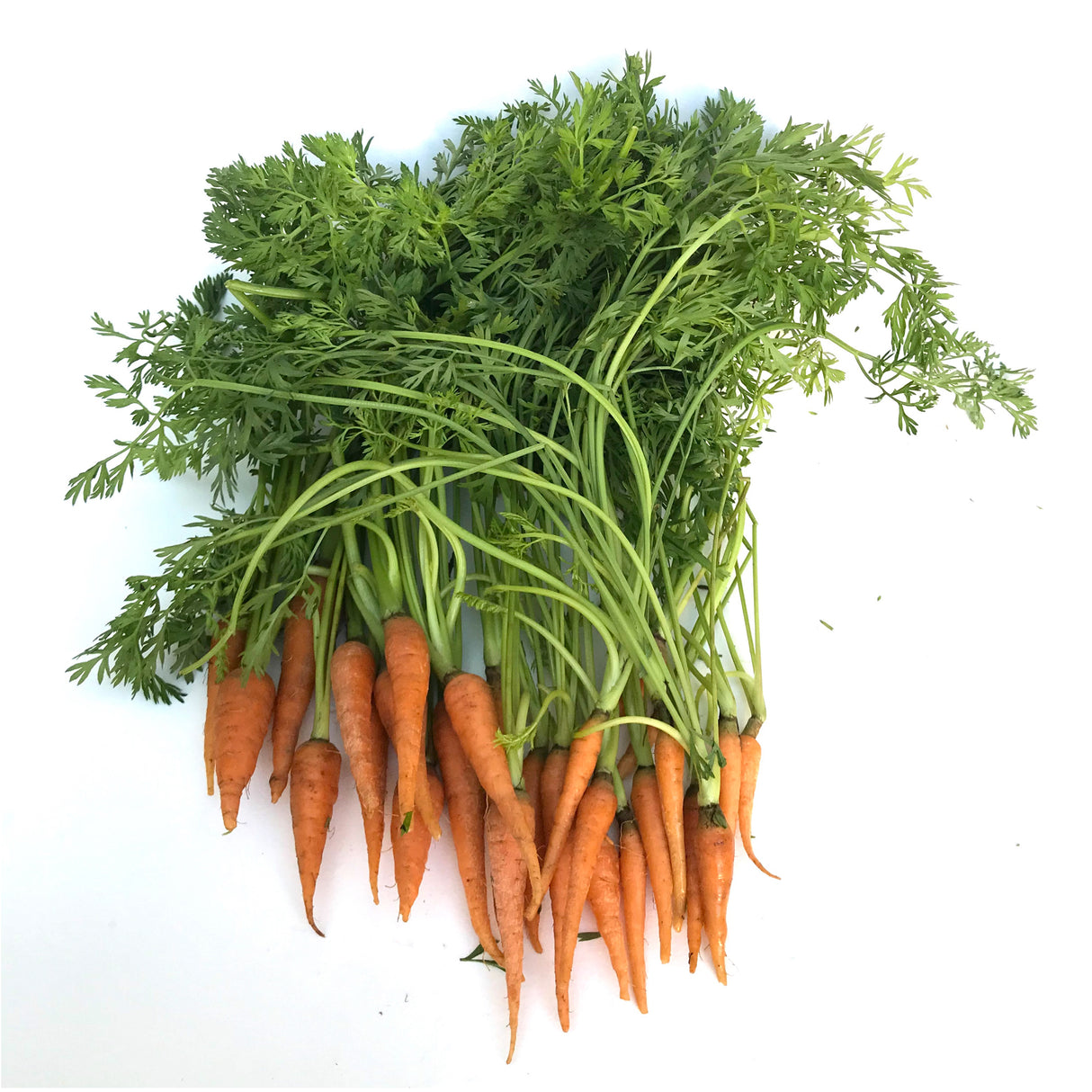 Zanahorias Baby (250 grs)