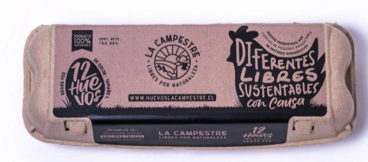 Huevos de Campo La Campestre (12u)
