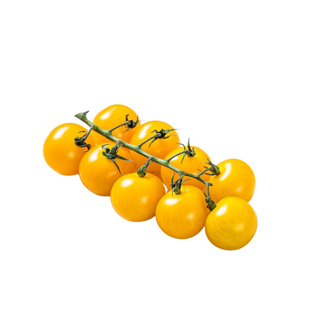 Tomates fresco a domicilio en Santiago – Juan Esparraguito tomate cherry amarillo