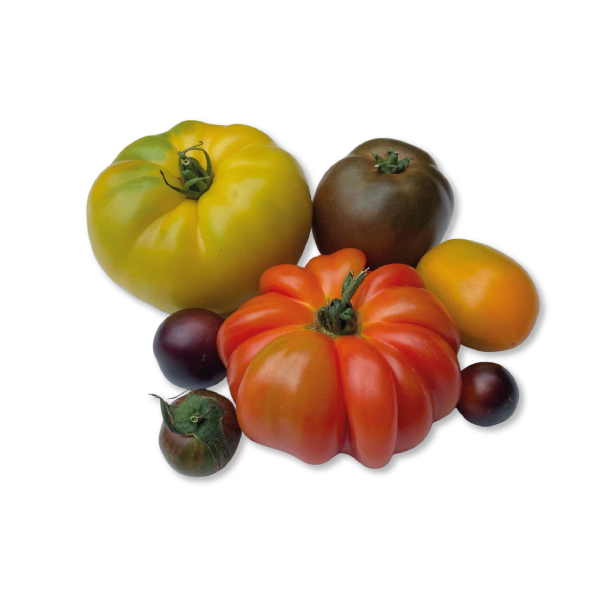 tomate verdura fresca con despacho a domicilio en Santiago - Juan Esparraguito