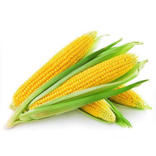 Choclo Americano (un)