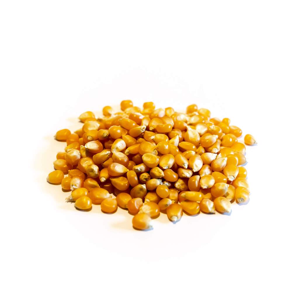 Maíz de Curagua (500 grs)