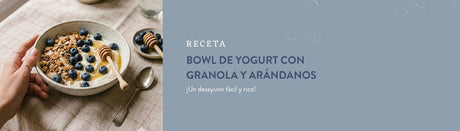 Bowl de yogurt con arandanos