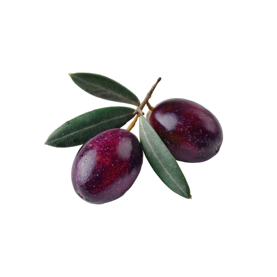 Aceitunas de Azapa | Aceitunas Chilenas Premium | delivery en Santiago