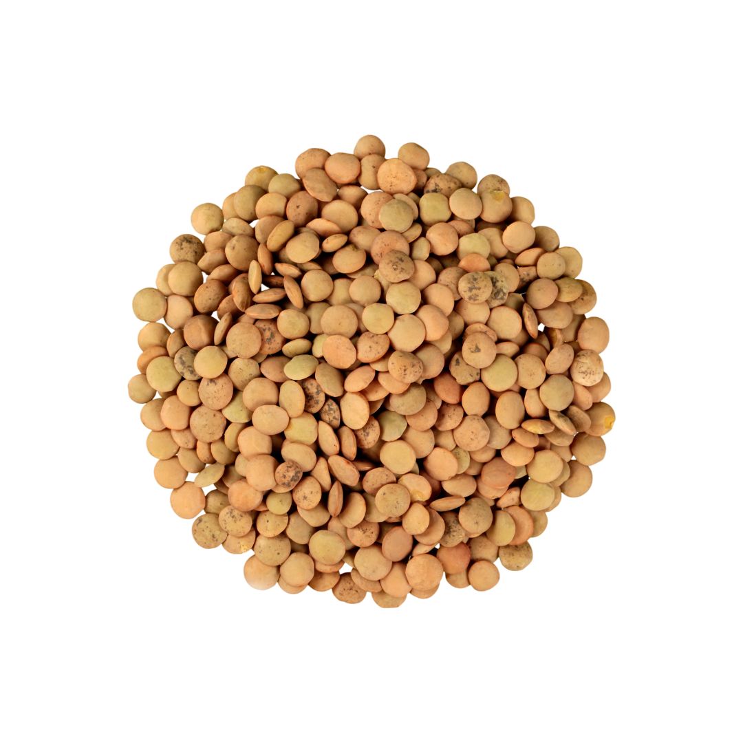 Lenteja Baby 3mm (500 grs)