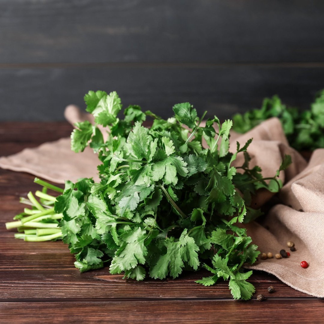 Cilantro atado (100 grs)