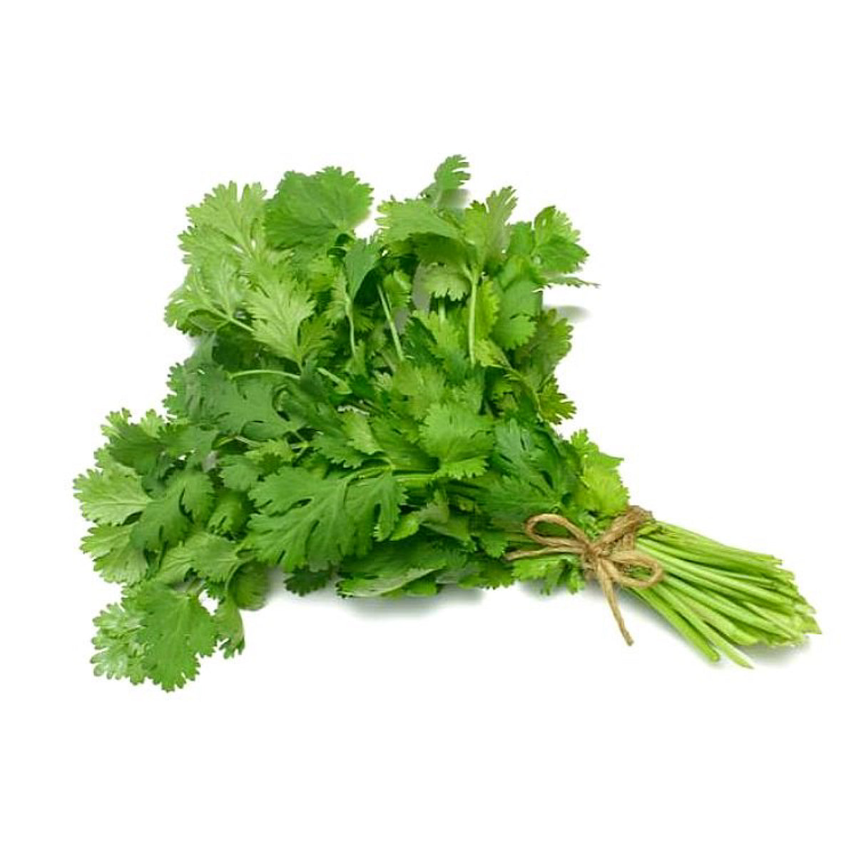 Cilantro Sanitizado (100 grs)