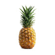 Piña fruta fresca con despacho a domicilio en Santiago