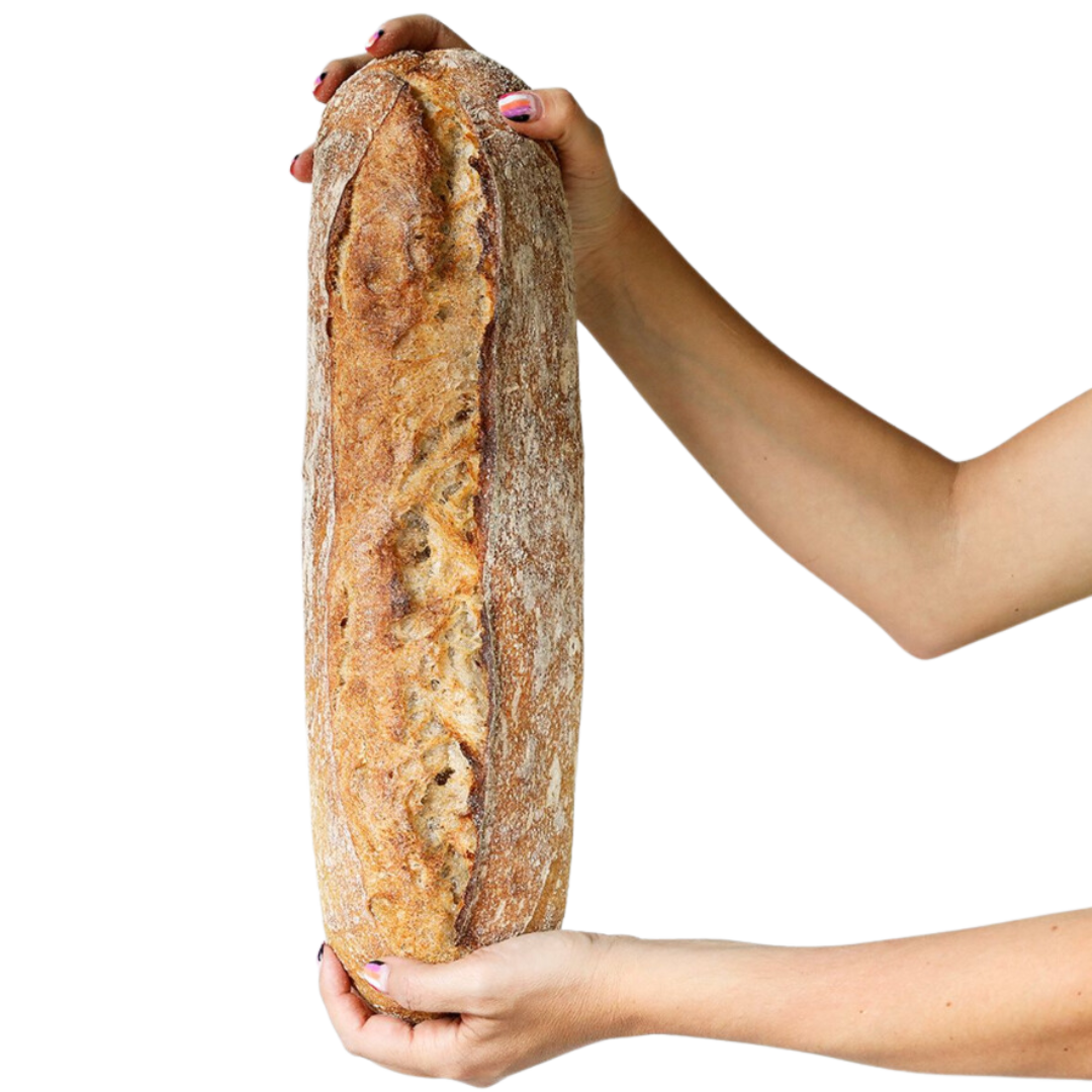 Ciabatta artesanal La Popular 800 g de masa madre con corteza crujiente y miga aireada, a domicilio en Santiago