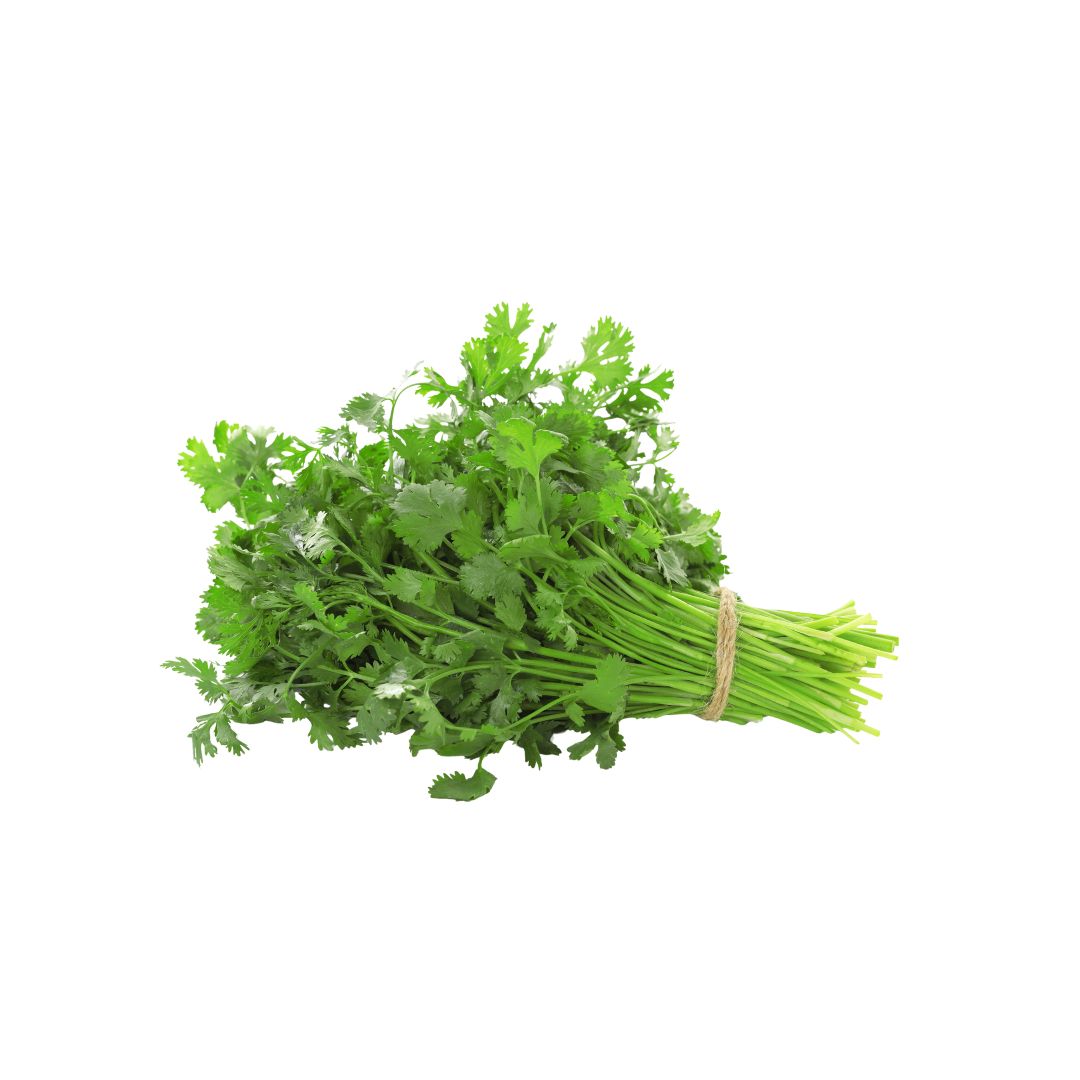 Cilantro Sanitizado (100 grs)