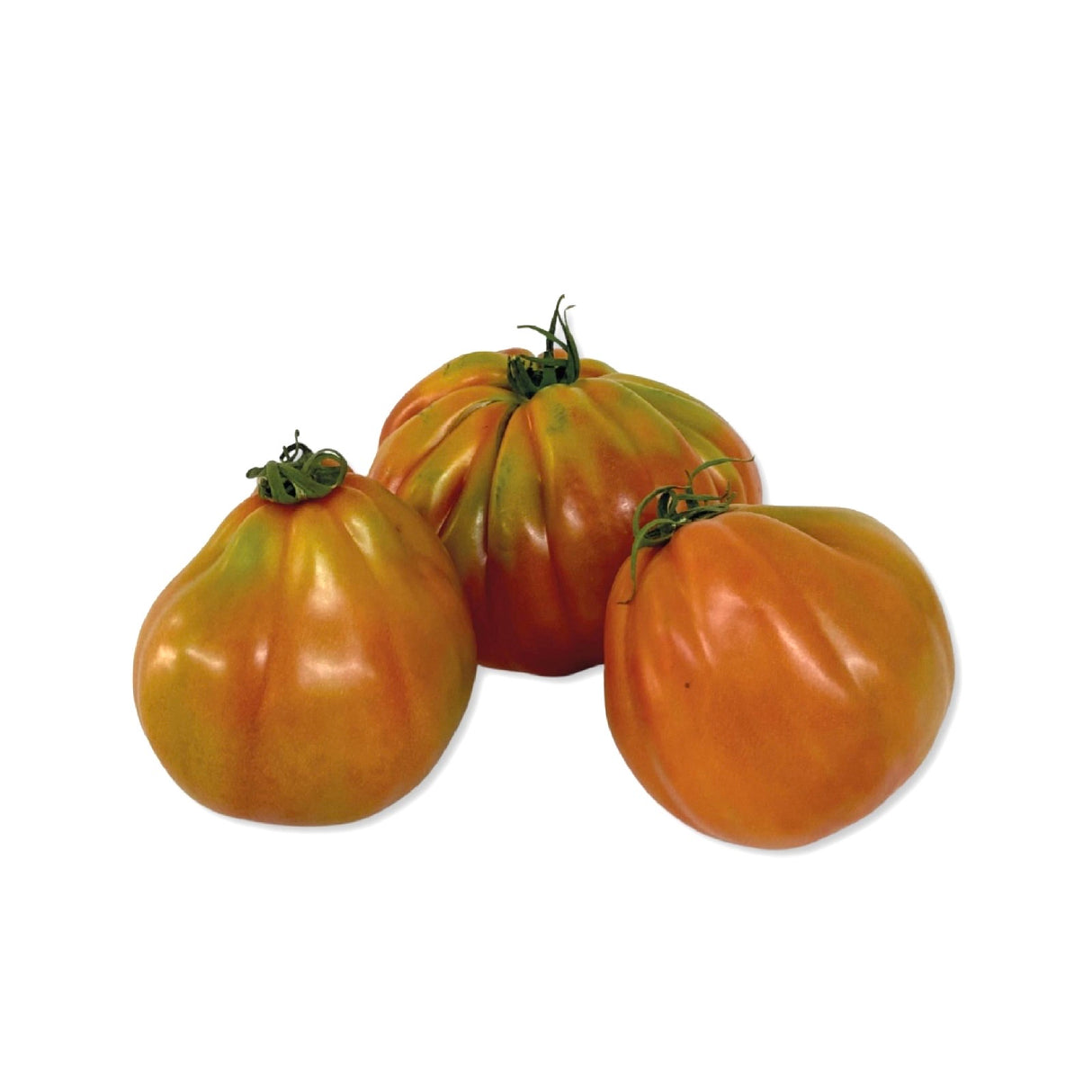 tomate verdura fresca con despacho a domicilio en Santiago - Juan Esparraguito