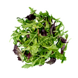lechuga verdura fresca con despacho a domicilio en Santiago - Juan Esparraguito