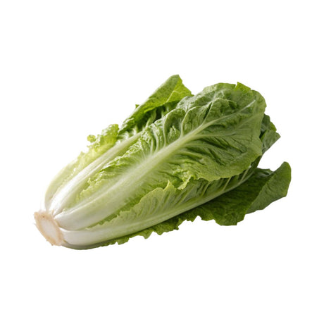 lechuga verdura fresca con despacho a domicilio en Santiago - Juan Esparraguito