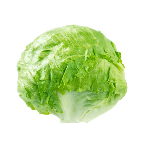 lechuga verdura fresca con despacho a domicilio en Santiago - Juan Esparraguito