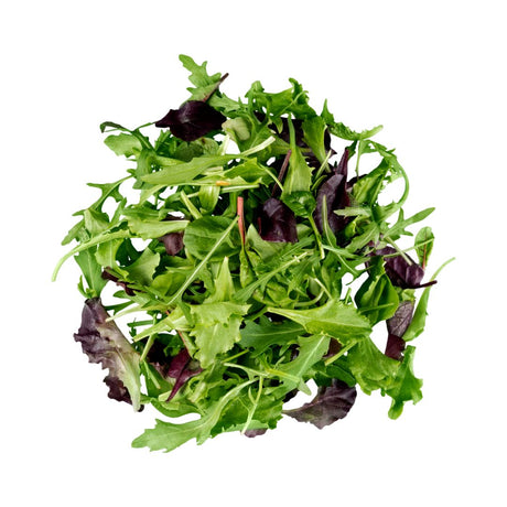 lechuga verdura fresca con despacho a domicilio en Santiago - Juan Esparraguito