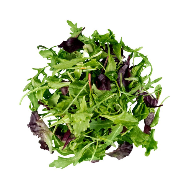 lechuga verdura fresca con despacho a domicilio en Santiago - Juan Esparraguito