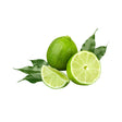 limon verdura fresca con despacho a domicilio en Santiago - Juan Esparraguito