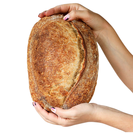 Pan básico en hogaza artesanal La Popular elaborado con masa madre, harina de fuerza y harina integral orgánica, a domicilio en Santiago