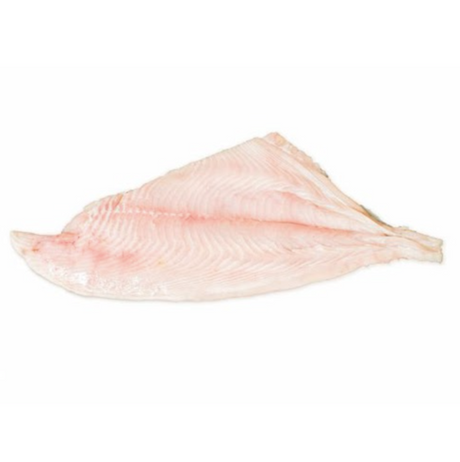 Filetes de reineta congelada en formato de 1 kg, pescado de carne blanca ideal para preparar al horno o a la plancha