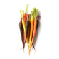 Zanahorias de colores baby (250 grs)